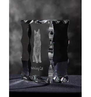 Nebelung Katze - Kristall mit Katzenbild, Glasstatuette mit Bild, einzigartiger Bilderrahmen der Marke Art-Dog