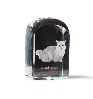 Munchkin Cat - crystal cube with a photo, photo of a cat in crystal, cubic paperweight from Art-Dog brand