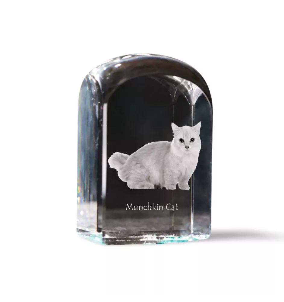 Chat Munchkin - un cube en cristal avec une photo, une photo de chat dans le cristal, un presse-papiers cubique de la marque Art-Dog