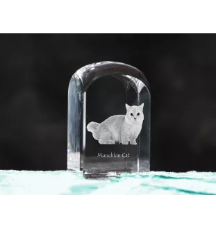 Chat Munchkin - un cube en cristal avec une photo, une photo de chat dans le cristal, un presse-papiers cubique de la marque Art-Dog