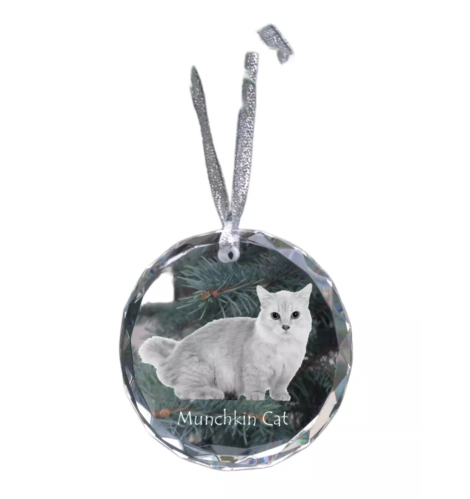 Chat Munchkin - boule de Noël en cristal avec une photo, photo d'un chat dans le cristal, décoration personnalisée pour sapin de Noël de la marque Art-Dog