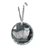 Chat Munchkin - boule de Noël en cristal avec une photo, photo d'un chat dans le cristal, décoration personnalisée pour sapin de Noël de la marque Art-Dog