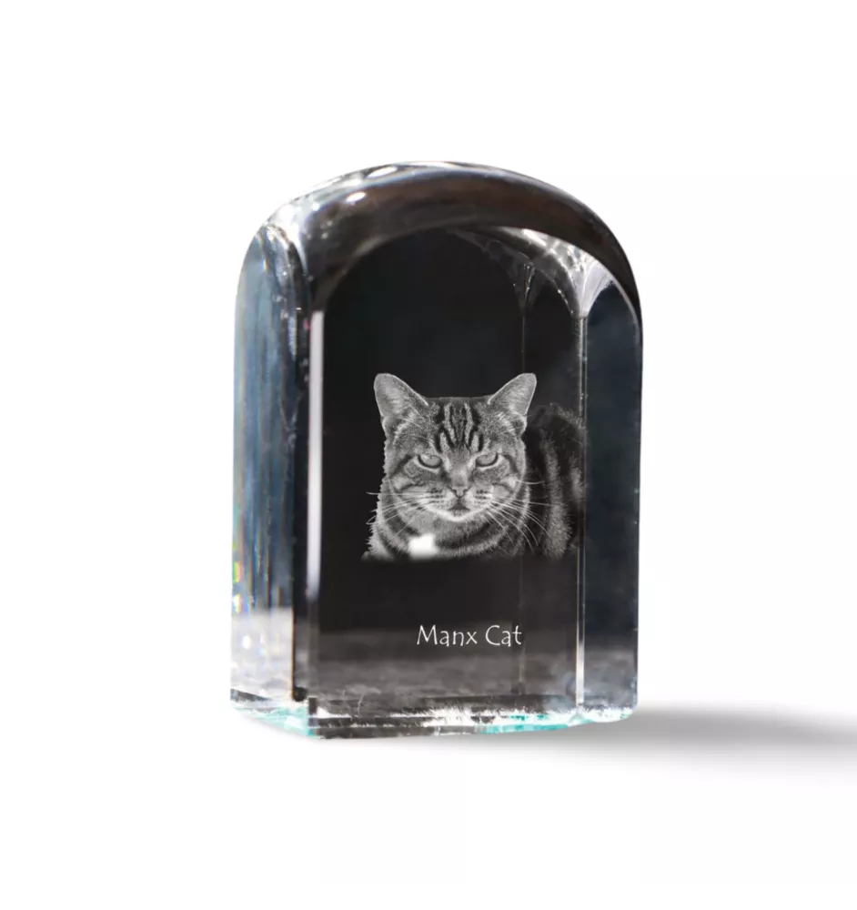 Manx-Katze - Kristallwürfel mit Bild, Katzenbild im Kristall, sechseckiger Papierclip von der Marke Art-Dog