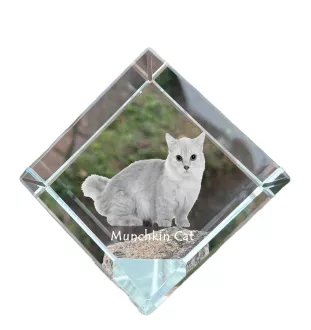 Munchkin Cat - crystal cube with a picture of a cat, crystal with a picture of a horse, cubic paperweight by Art-Dog brand