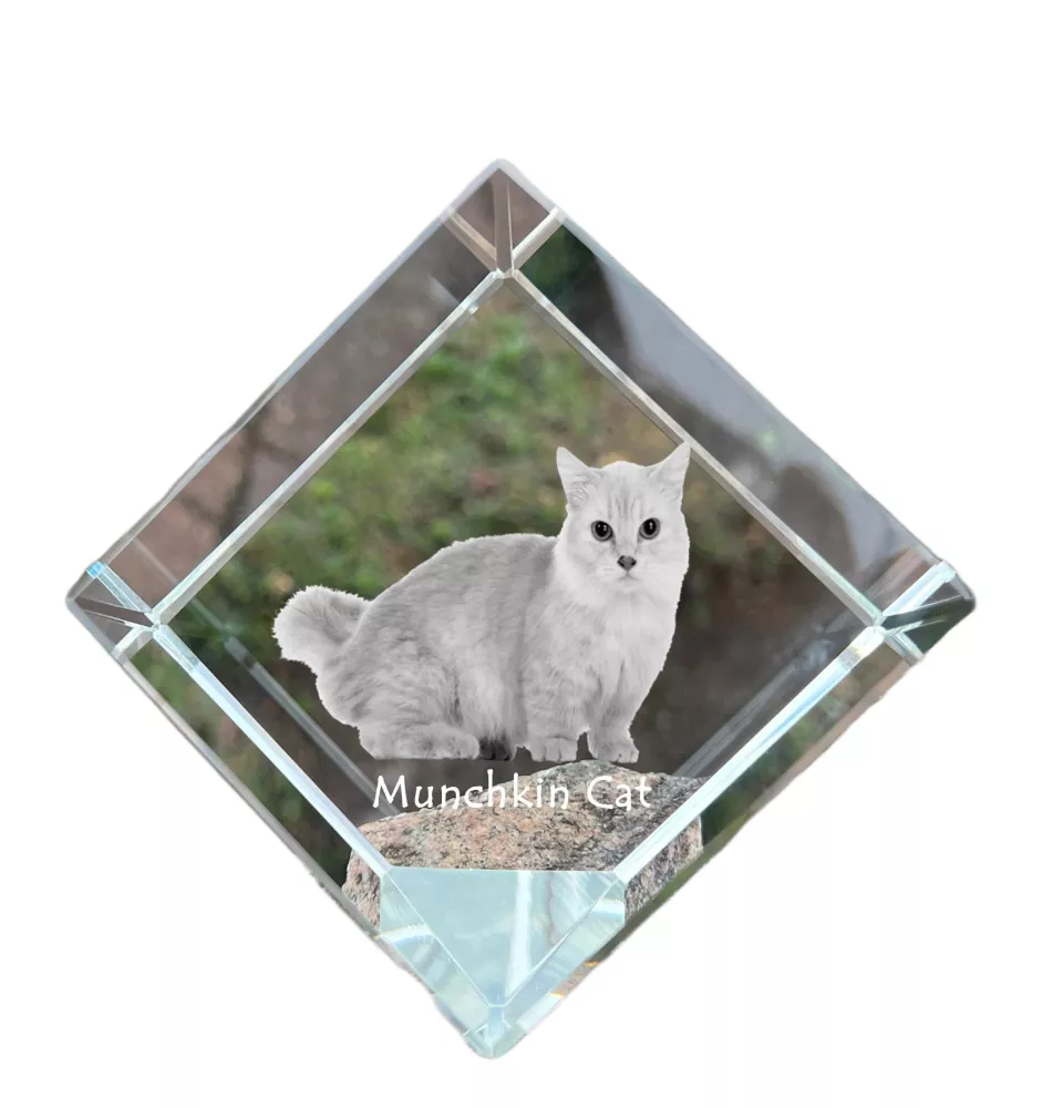Munchkin Cat - crystal cube with a picture of a cat, crystal with a picture of a horse, cubic paperweight by Art-Dog brand