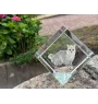 Munchkin Cat - crystal cube with a picture of a cat, crystal with a picture of a horse, cubic paperweight by Art-Dog brand