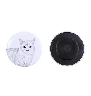 Chat Munchkin - collection de magnets uniques, photo personnelle, marque Art-Dog