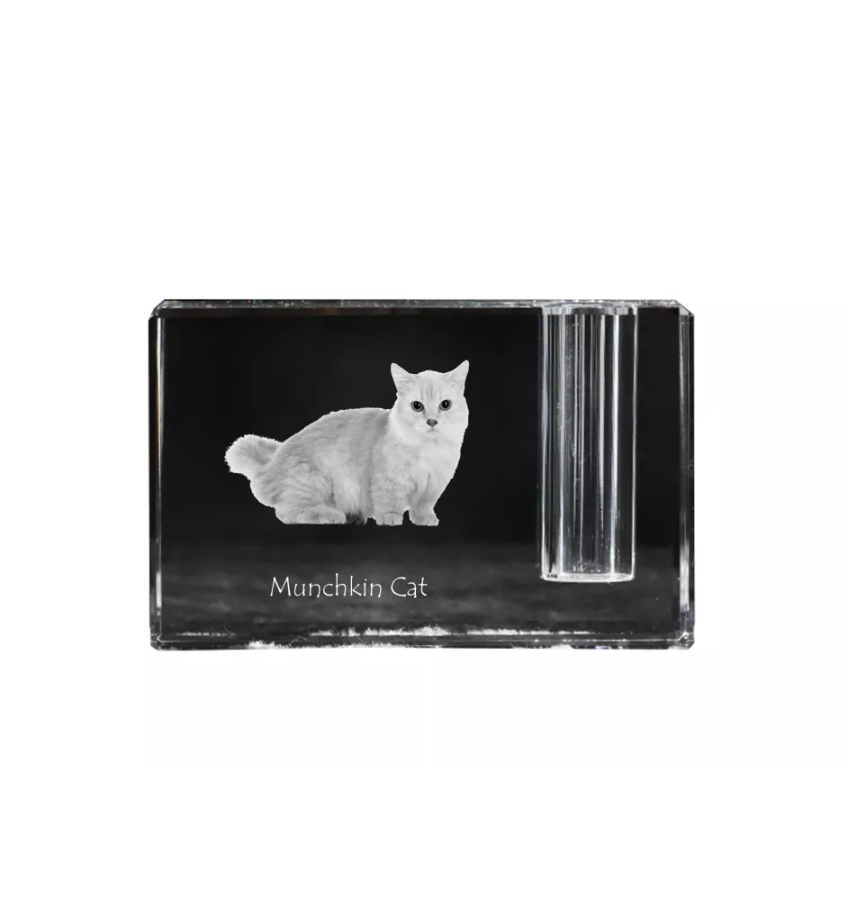 Munchkin Cat - Pen stand, crystal organiser with cat photo, unique desk decoration by Art-Dog brand