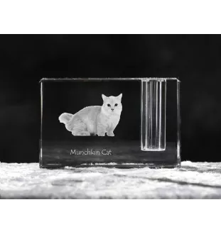 Munchkin Cat - Pen stand, crystal organiser with cat photo, unique desk decoration by Art-Dog brand