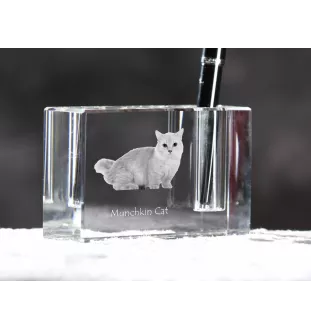 Munchkin Cat - Pen stand, crystal organiser with cat photo, unique desk decoration by Art-Dog brand