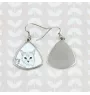 Munchkin Cat - cat earrings, hanging earrings with a picture, personalized jewelry with Art-Dog brand print.
