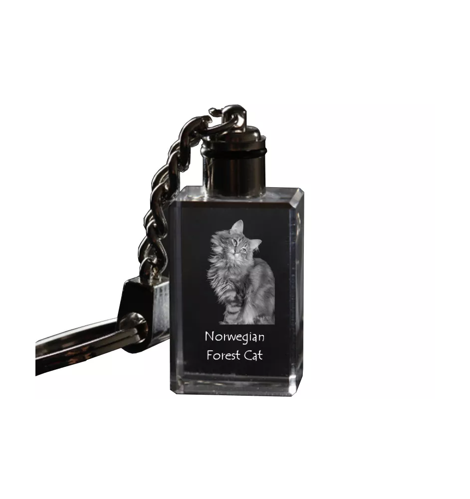 Norwegian Forest - Crystal pendant with cat photo, illuminated pendant, unique gift by Art-Dog brand
