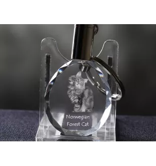 Chat des forêts norvégiennes - Fob with cat photo, crystal key ring in gift box, unique gift by Art-Dog brand