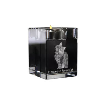 Norwegischer Wald - Kerzenhalter mit Katzenfoto, Teelichthalter aus Kristall, personalisiertes Geschenk der Marke Art-Dog
