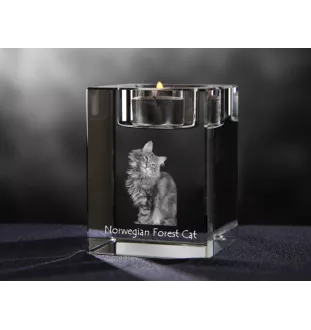 Norwegischer Wald - Kerzenhalter mit Katzenfoto, Teelichthalter aus Kristall, personalisiertes Geschenk der Marke Art-Dog