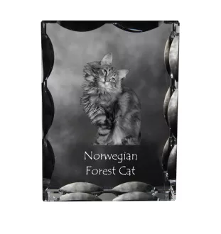Norwegische Waldkatze - Kristall mit Katzenbild, Glasstatuette mit Bild, einzigartiger Bilderrahmen der Marke Art-Dog