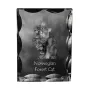Norwegian Forest Cat - crystal with a cat picture, glass statuette with a picture, unique frame with a picture from Art-Dog brand