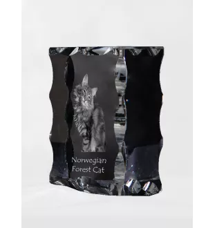 Norwegische Waldkatze - Kristall mit Katzenbild, Glasstatuette mit Bild, einzigartiger Bilderrahmen der Marke Art-Dog