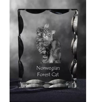 Norweski leśny ramka kryształowa z kotem Art-Dog