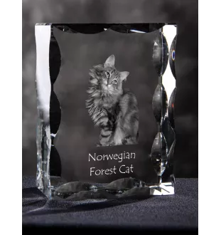 Norwegische Waldkatze - Kristall mit Katzenbild, Glasstatuette mit Bild, einzigartiger Bilderrahmen der Marke Art-Dog