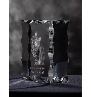 Norwegian Forest Cat - crystal with a cat picture, glass statuette with a picture, unique frame with a picture from Art-Dog brand