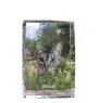 Ocicat - crystal with a picture of a cat, photo in glass, modern exhibition of Art-Dog brand photo