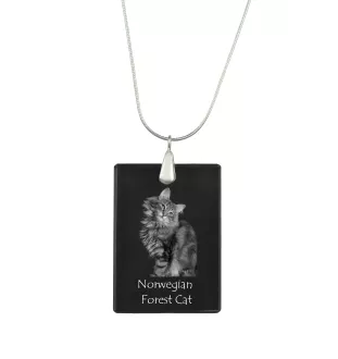Chat des forêts norvégiennes - Crystal pendant with cat, silver necklace with photo, personalised pendant by Art-Dog brand