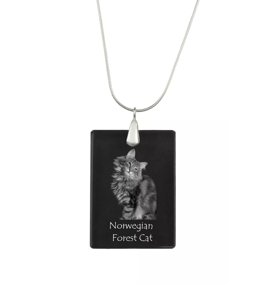 Norwegische Waldkatze - Crystal pendant with cat, silver necklace with photo, personalised pendant by Art-Dog brand