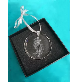 Norwegian Forest Cat - crystal bauble with a photo, photo of a cat in crystal, personalized Christmas tree ornament by Art-Dog brand