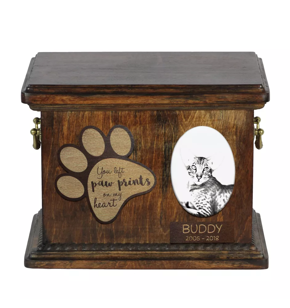 Oriental Cat - urn for cat ashes, urn for cat with photo, personalized cat ashes box by Art-Dog brand