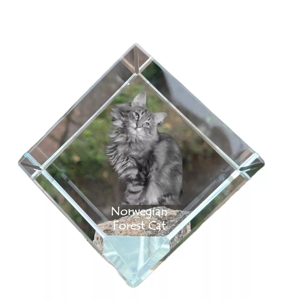Chat des forêts norvégiennes - un cube en cristal avec une photo de chat, une photo de cheval dans le cristal, un presse-papiers cubique de la marque Art-Dog