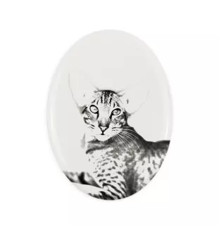 Oriental Cat - commemorative plaque with a cat photo, tombstone with a print, personalized oval plaque from the Art-Dog brand