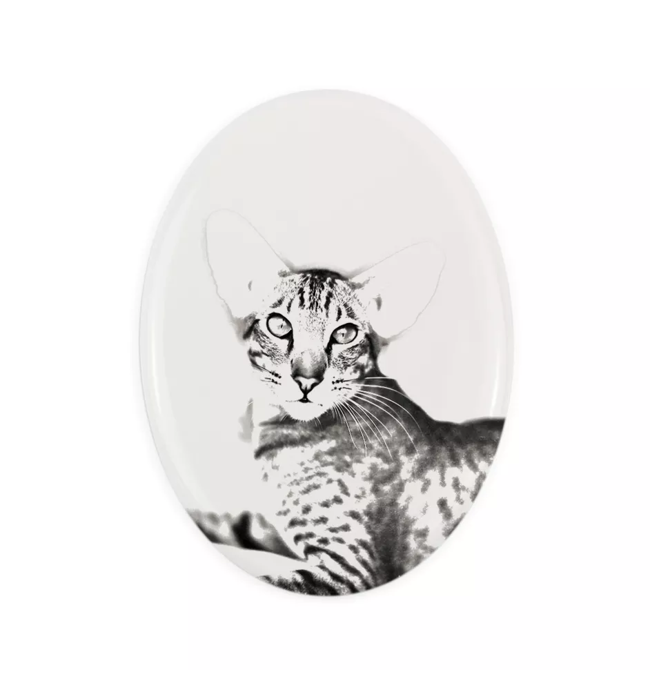 Chat oriental - une plaque commémorative avec une photo de chat, une plaque funéraire avec une impression, une plaque ovale personnalisée de la marque Art-Dog