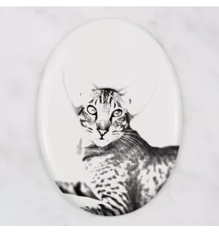 Oriental Cat - commemorative plaque with a cat photo, tombstone with a print, personalized oval plaque from the Art-Dog brand