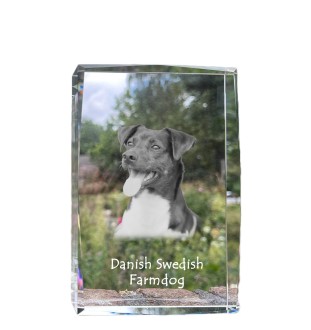 Dänisch-Schwedischer Farmhund, Dansk-Svensk Gårdshund - Kristall mit einem Hundebild, Bild im Glas, moderne Ausstellung des Art-Dog-Bildes.