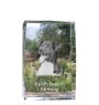 Danish-Swedish Farmdog - crystal with a picture of a dog, photo in glass, modern exhibition of Art-Dog brand photo