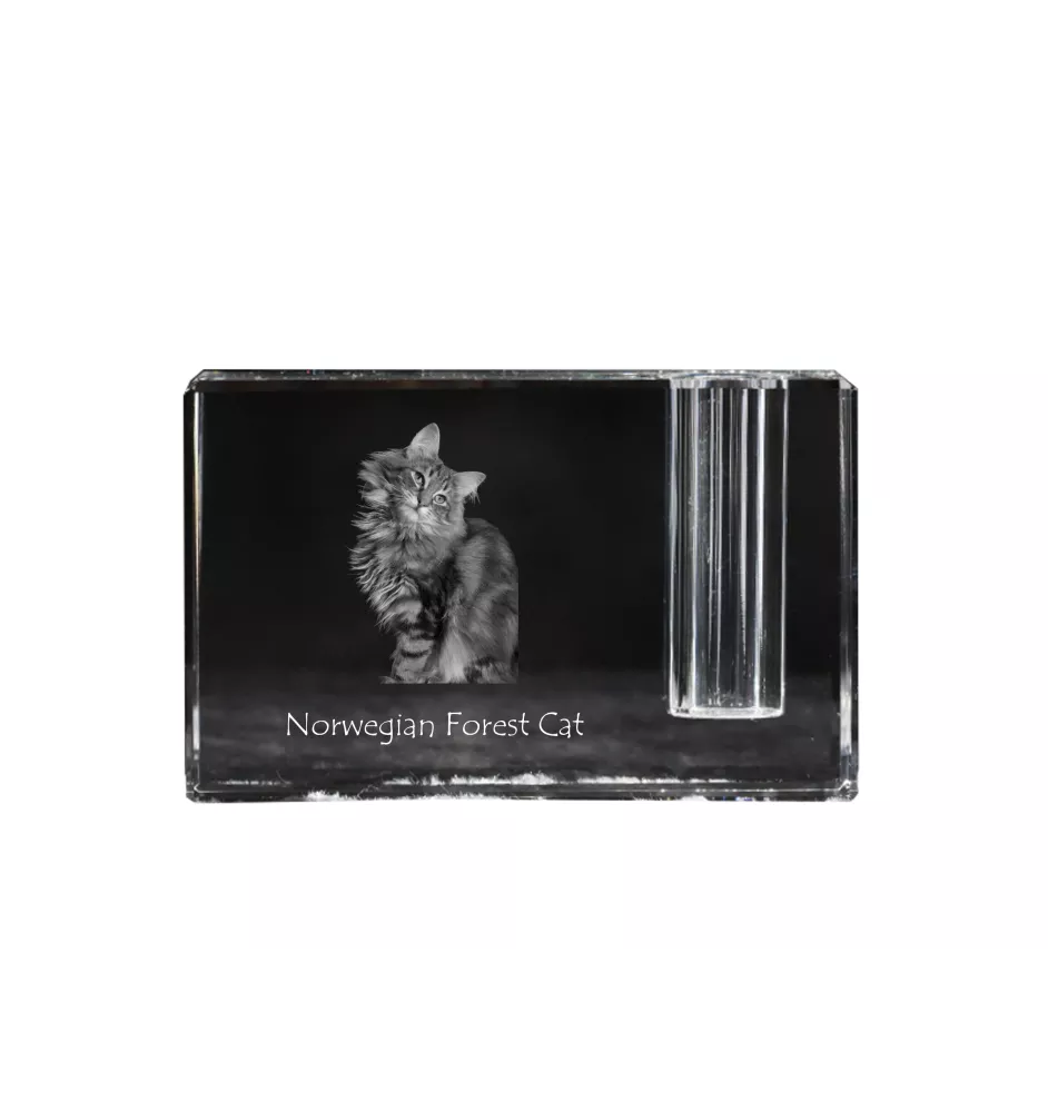 Norwegian Forest Cat - Pen stand, crystal organiser with cat photo, unique desk decoration by Art-Dog brand