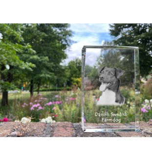 Chien de ferme dano-suédois, Dansk-svensk gårdshund - cristal avec une photo de chien, photo sous verre, exposition moderne de la marque de photos Art-Dog