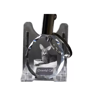 Chat oriental - Fob with cat photo, crystal key ring in gift box, unique gift by Art-Dog brand