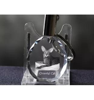 Chat oriental - Fob with cat photo, crystal key ring in gift box, unique gift by Art-Dog brand