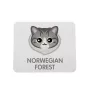 Norweski leśny podkładka z kotem Art-Dog