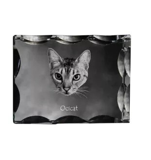 Ocicat - crystal with a cat picture, glass statuette with a picture, unique frame with a picture from Art-Dog brand