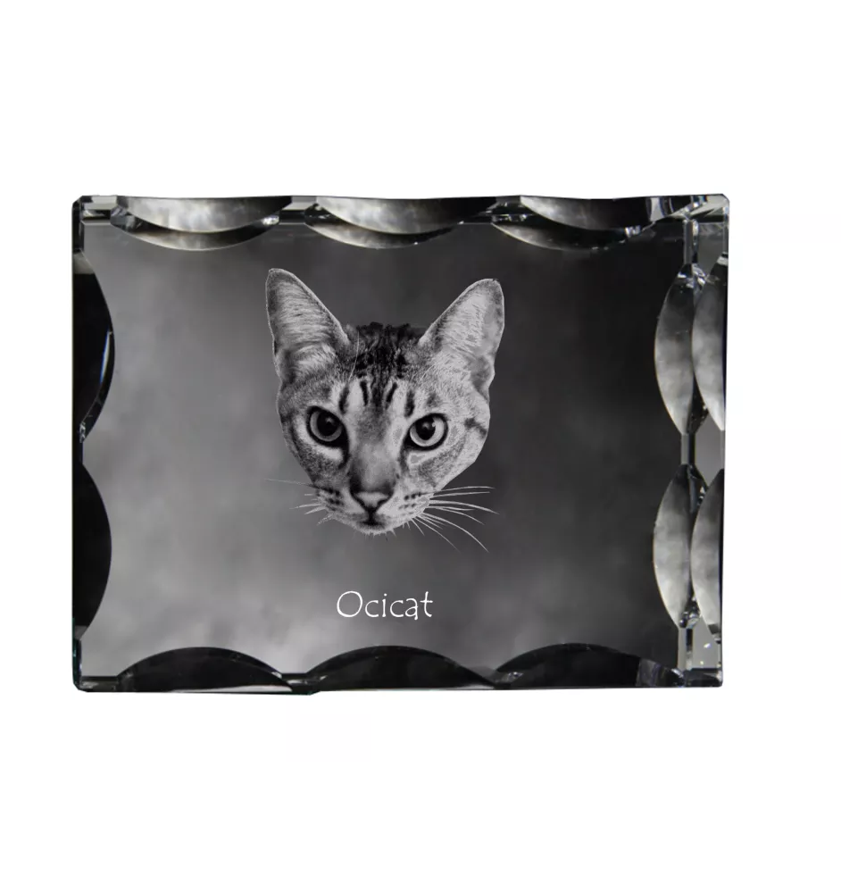 Ocicat - Kristall mit Katzenbild, Glasstatuette mit Bild, einzigartiger Bilderrahmen der Marke Art-Dog