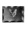Ocicat - crystal with a cat picture, glass statuette with a picture, unique frame with a picture from Art-Dog brand