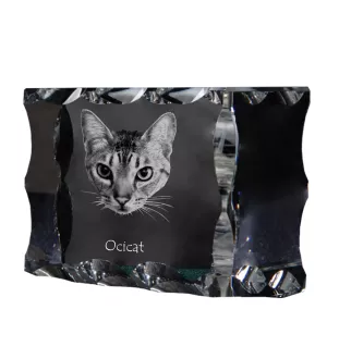 Ocicat - crystal with a cat picture, glass statuette with a picture, unique frame with a picture from Art-Dog brand