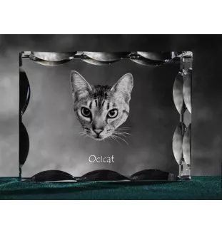 Ocicat - Kristall mit Katzenbild, Glasstatuette mit Bild, einzigartiger Bilderrahmen der Marke Art-Dog