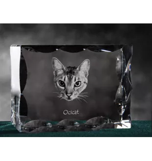 Ocicat ramka kryształowa z kotem Art-Dog