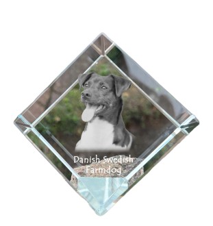 Dänisch-Schwedischer Farmhund, Dansk-Svensk Gårdshund - Kristallwürfel mit Bild, Pferdebild im Kristall, sechseckiger Papierclip der Marke Art-Dog