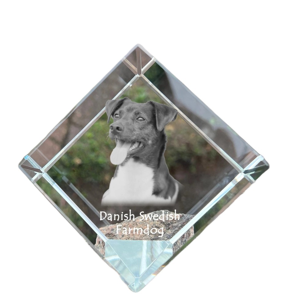 Danish-Swedish Farmdog - crystal cube with a photo, photo of a horse in crystal, cubic paperweight from Art-Dog brand