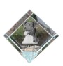 Danish-Swedish Farmdog - crystal cube with a photo, photo of a horse in crystal, cubic paperweight from Art-Dog brand